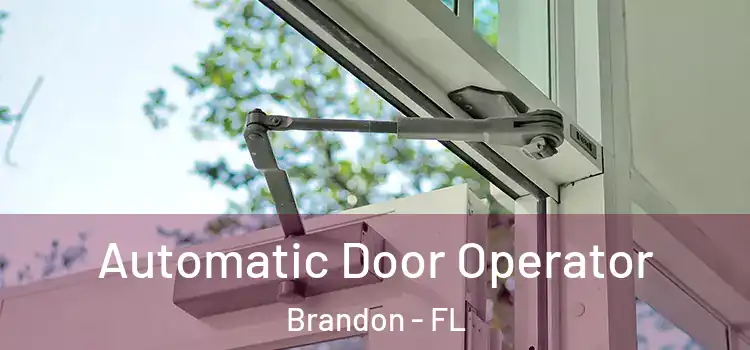  Automatic Door Operator Brandon - FL
