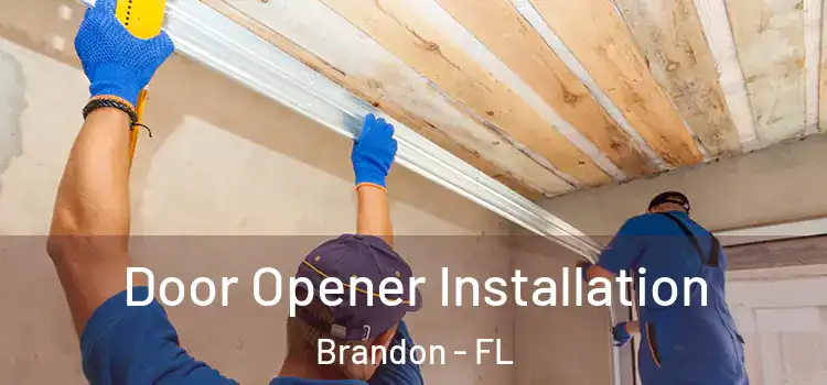  Door Opener Installation Brandon - FL