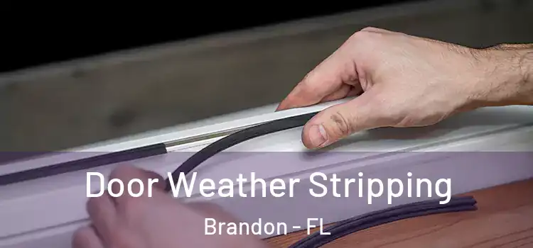  Door Weather Stripping Brandon - FL