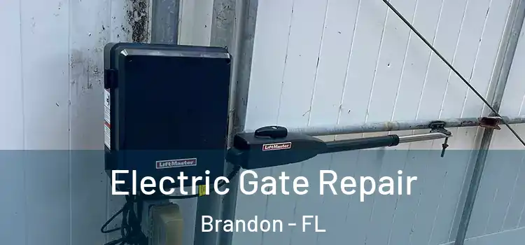  Electric Gate Repair Brandon - FL