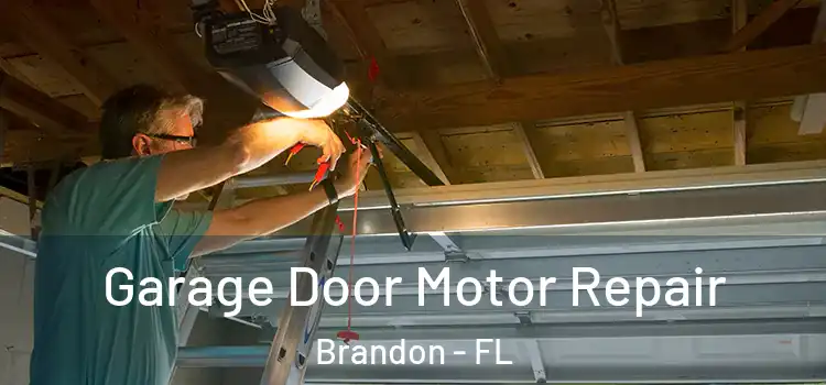  Garage Door Motor Repair Brandon - FL