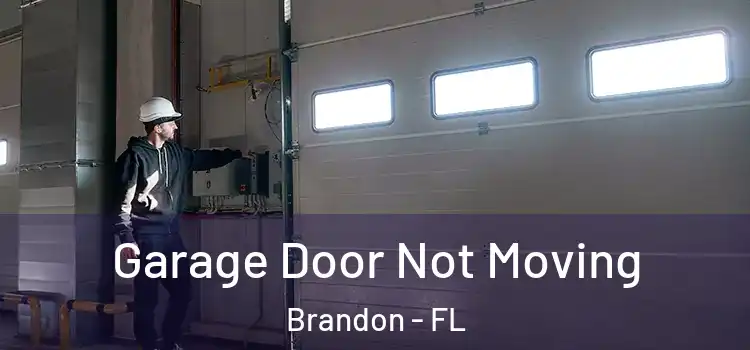  Garage Door Not Moving Brandon - FL