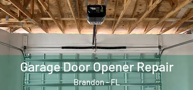  Garage Door Opener Repair Brandon - FL