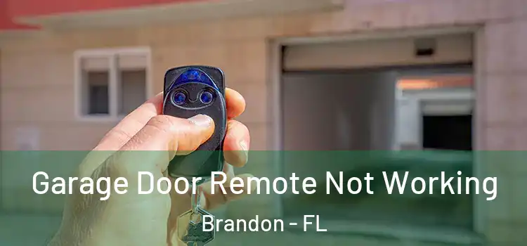  Garage Door Remote Not Working Brandon - FL