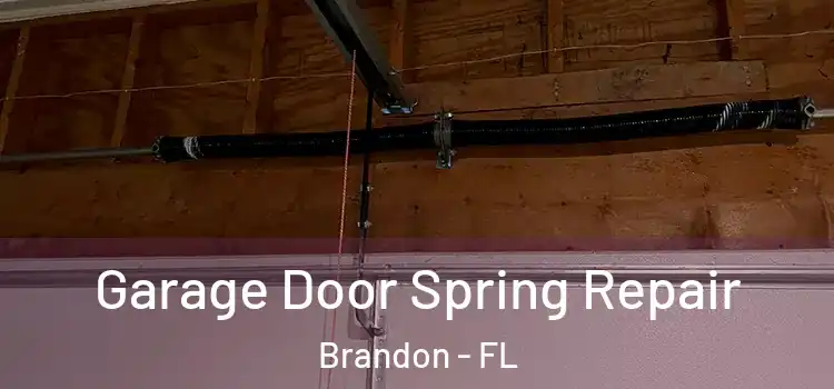  Garage Door Spring Repair Brandon - FL