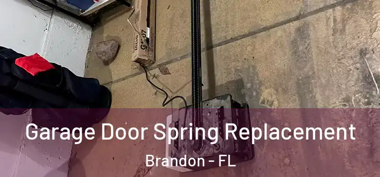  Garage Door Spring Replacement Brandon - FL