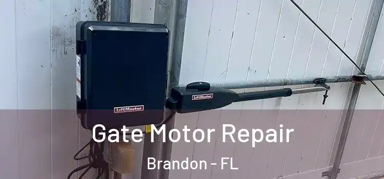  Gate Motor Repair Brandon - FL