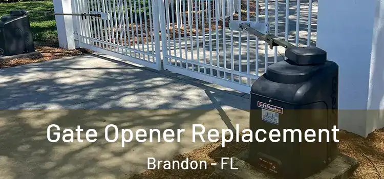  Gate Opener Replacement Brandon - FL