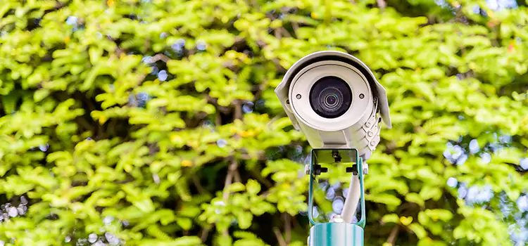 Advanced Surveillance Solutions for Every Need in Brandon