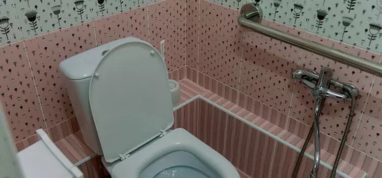Meeting Diverse Needs With Accessible Restroom Solutions in Brandon, FL