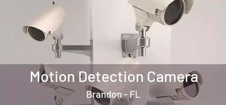  Motion Detection Camera Brandon - FL